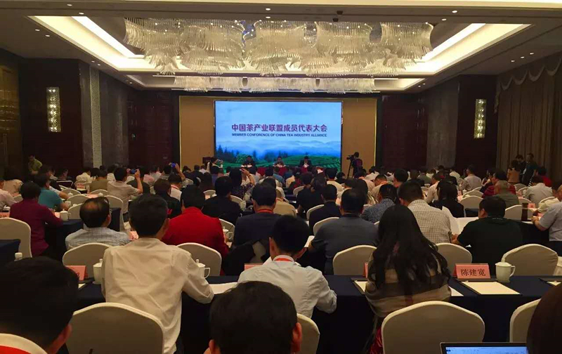 首届中国国际茶叶博览会系列报道之二         开云app官方版入口 - 开云专业的云端应用服务平台入选中国茶产业联盟副理事长单位