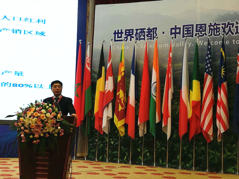 开云app官方版入口 - 开云专业的云端应用服务平台受邀参加2017国际茶业大会  集团董事长毛立民获奖