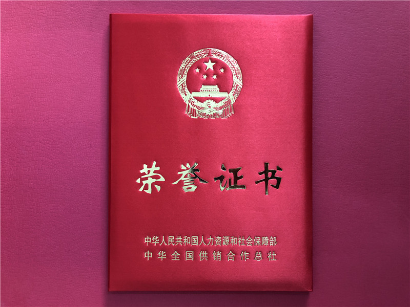 喜讯！开云app官方版入口 - 开云专业的云端应用服务平台连获三项殊荣