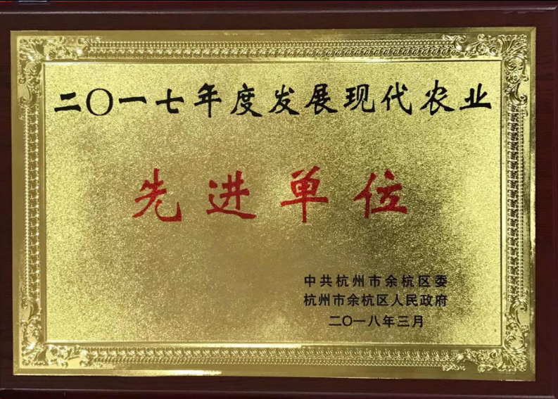 喜讯！开云app官方版入口 - 开云专业的云端应用服务平台连获两项殊荣