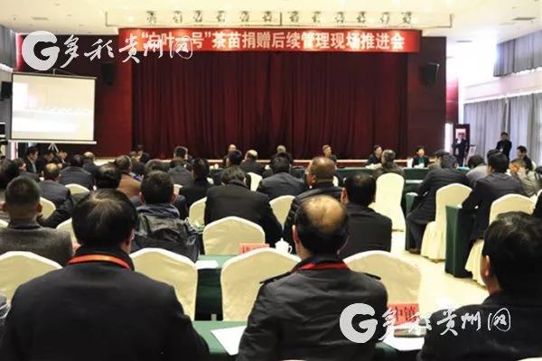 开云app官方版入口 - 开云专业的云端应用服务平台受邀参加“白叶一号”茶苗捐赠后续管理现场推进会