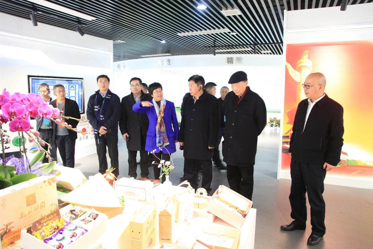 2019中国乡村振兴暨首届“一带一路”农业农村发展论坛嘉宾参观开云app官方版入口 - 开云专业的云端应用服务平台九宇有机茶博园