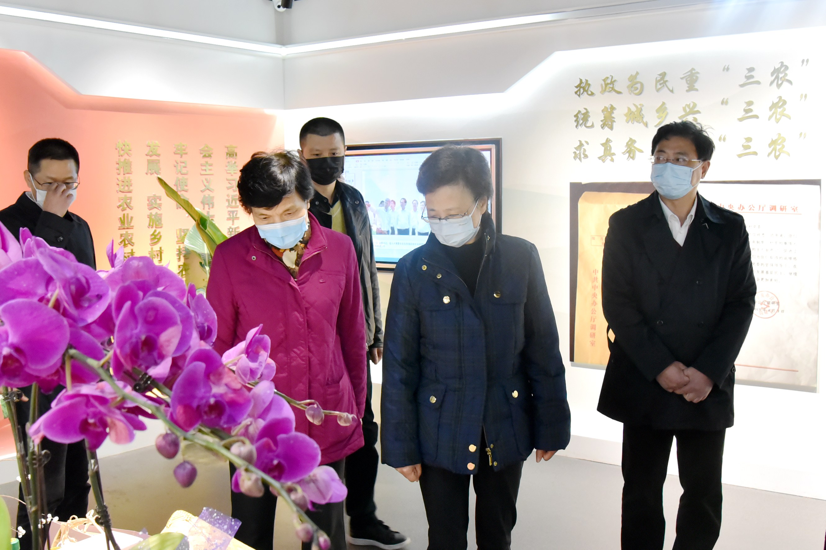 浙江省人大常委会梁黎明书记一行莅临开云app官方版入口 - 开云专业的云端应用服务平台调研