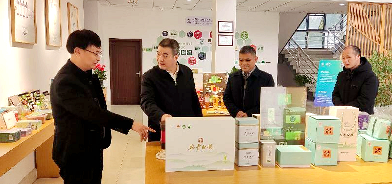 省供销社监事会主任童日晖调研开云app官方版入口 - 开云专业的云端应用服务平台兴合科技公司