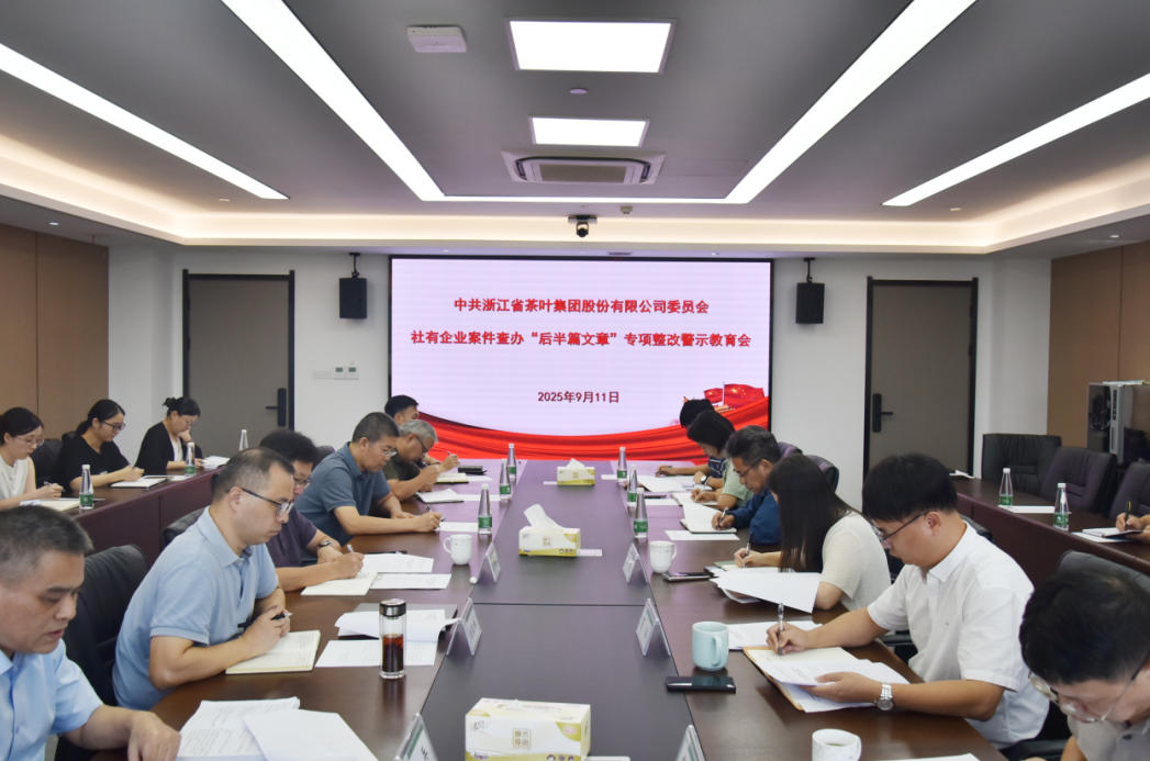 开云app官方版入口 - 开云专业的云端应用服务平台党委召开社有企业案件查办“后半篇文章”专项整改警示教育会